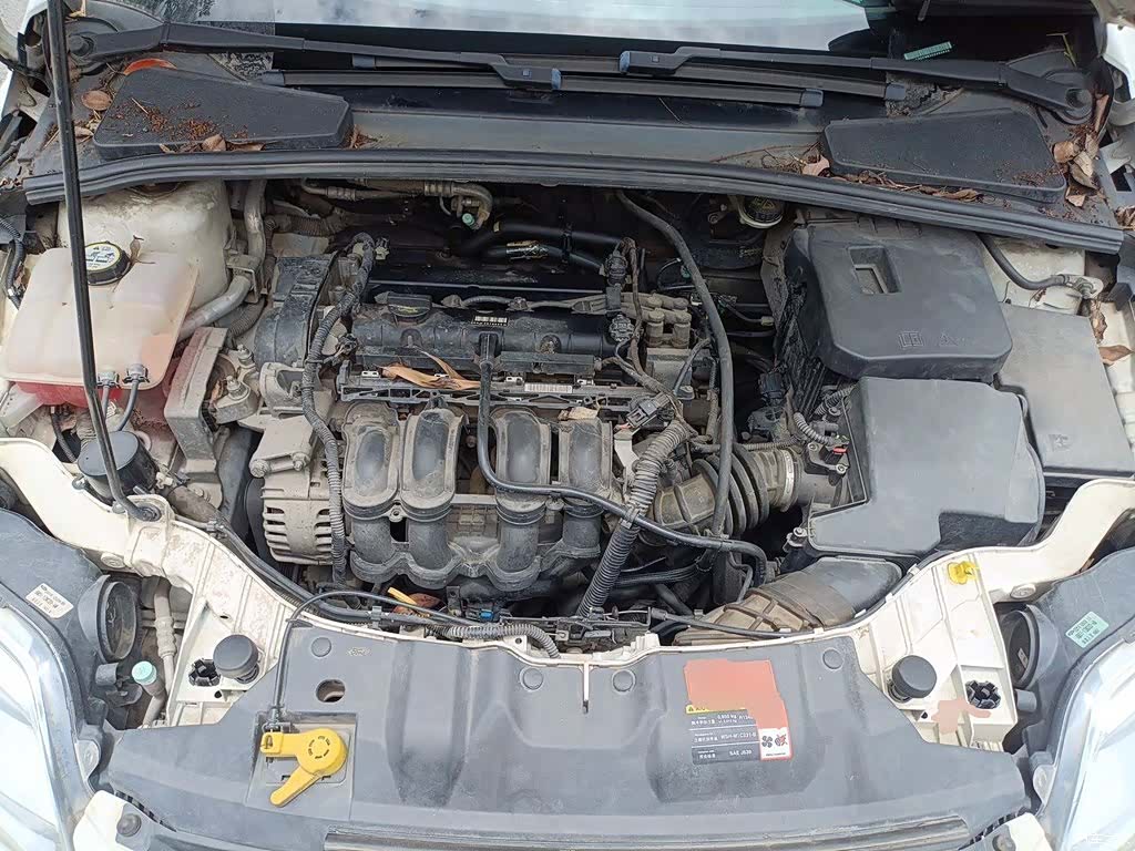 Ford Focus, 2014 11