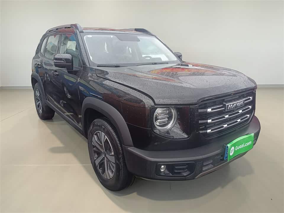 Haval Big dog