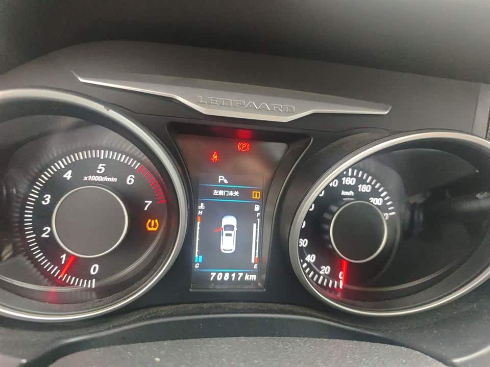 Leopaard Cheetah CS10