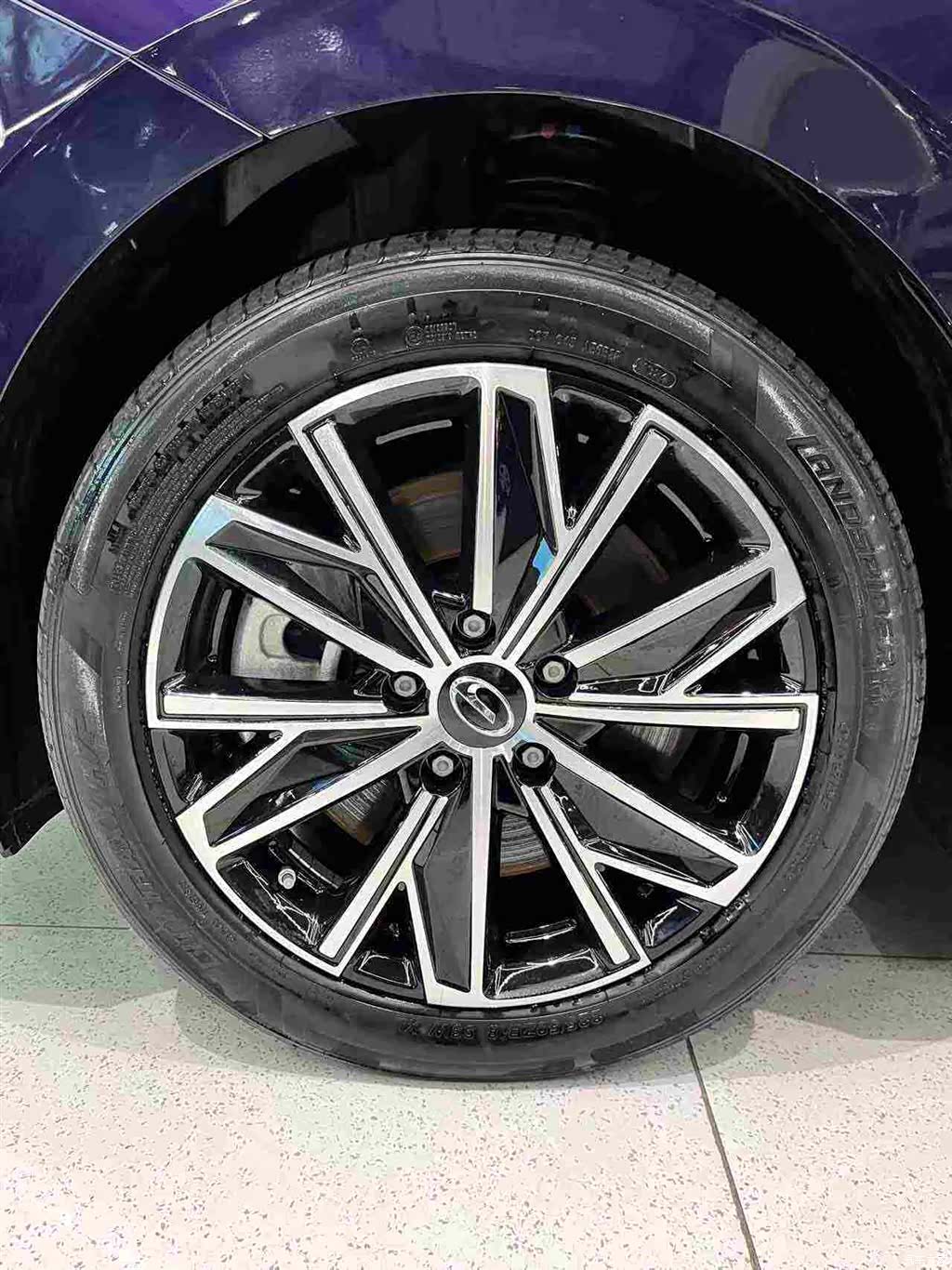 Trumpchi E8, 2024 26