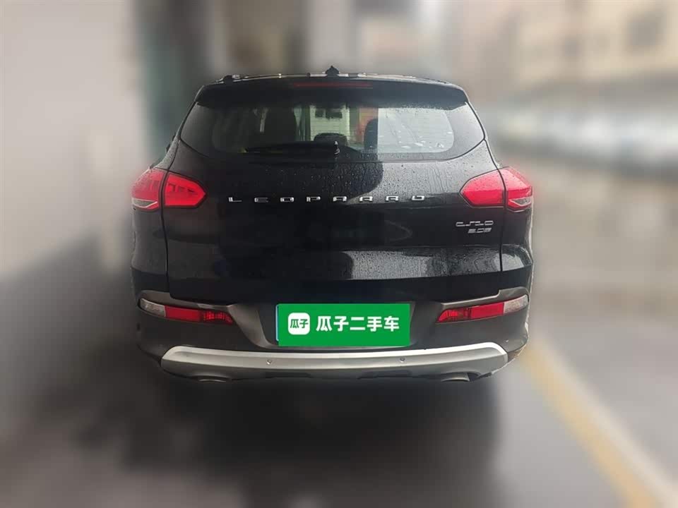 Leopaard Cheetah CS10