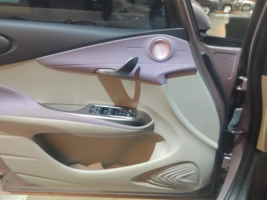 BYD dolphin