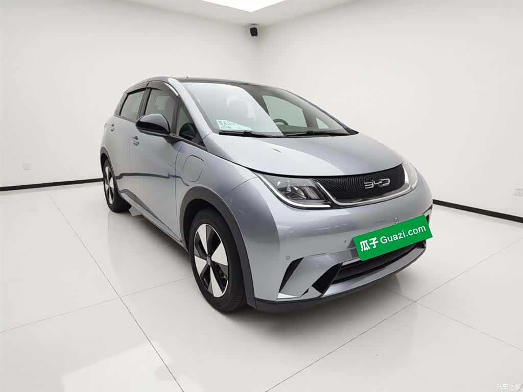 BYD Dolphin, 2023 4