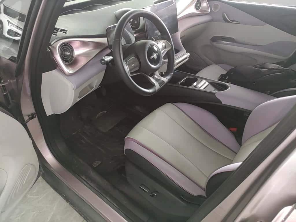 BYD Dolphin, 2022 15