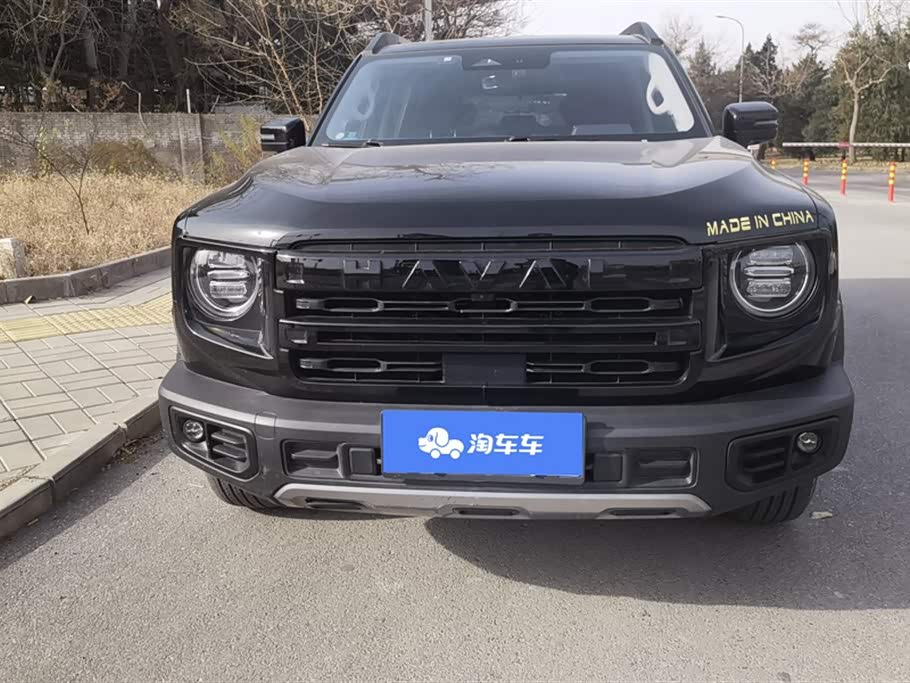 Haval Big dog