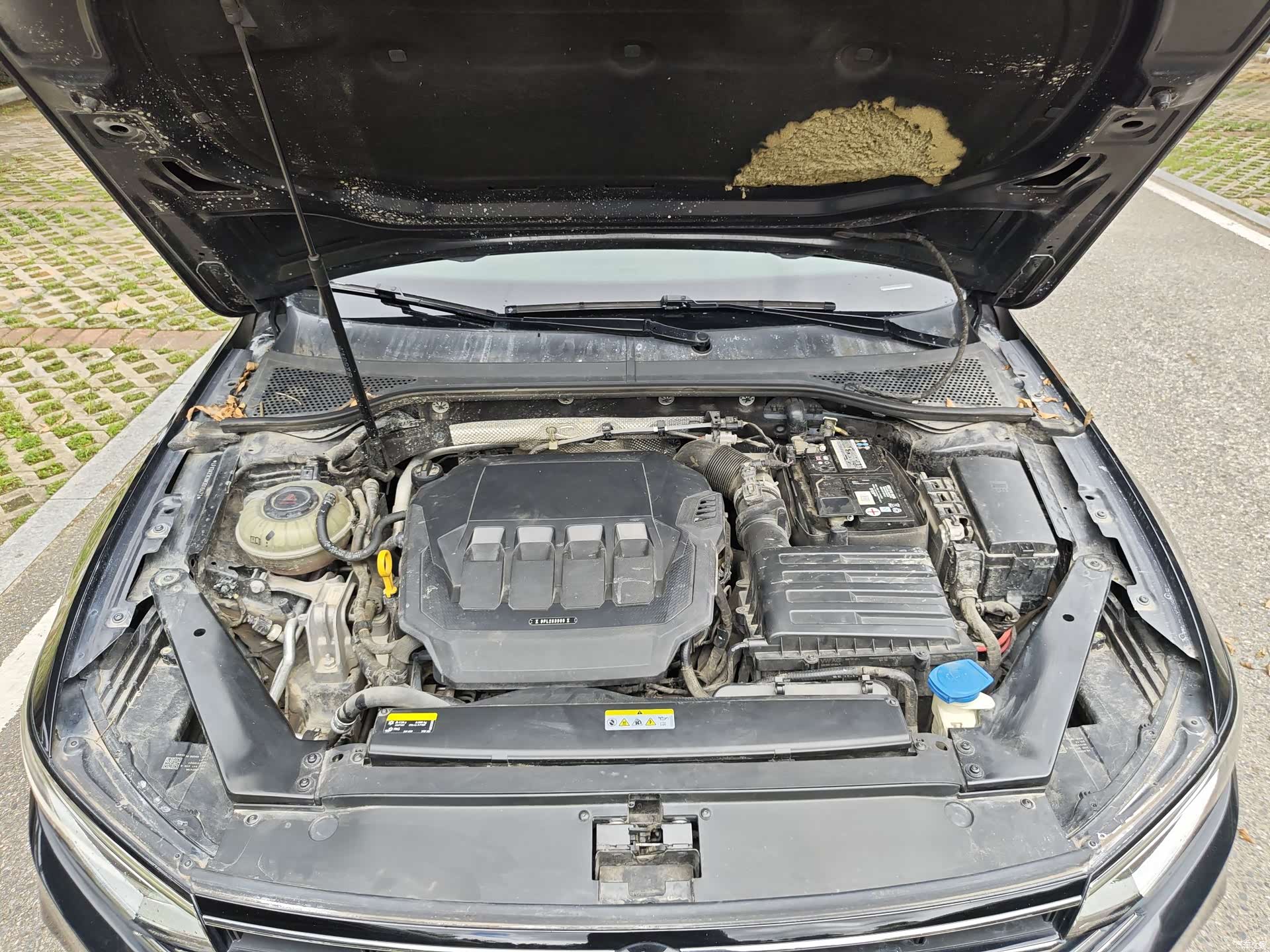 Volkswagen Magotan, 2021 22