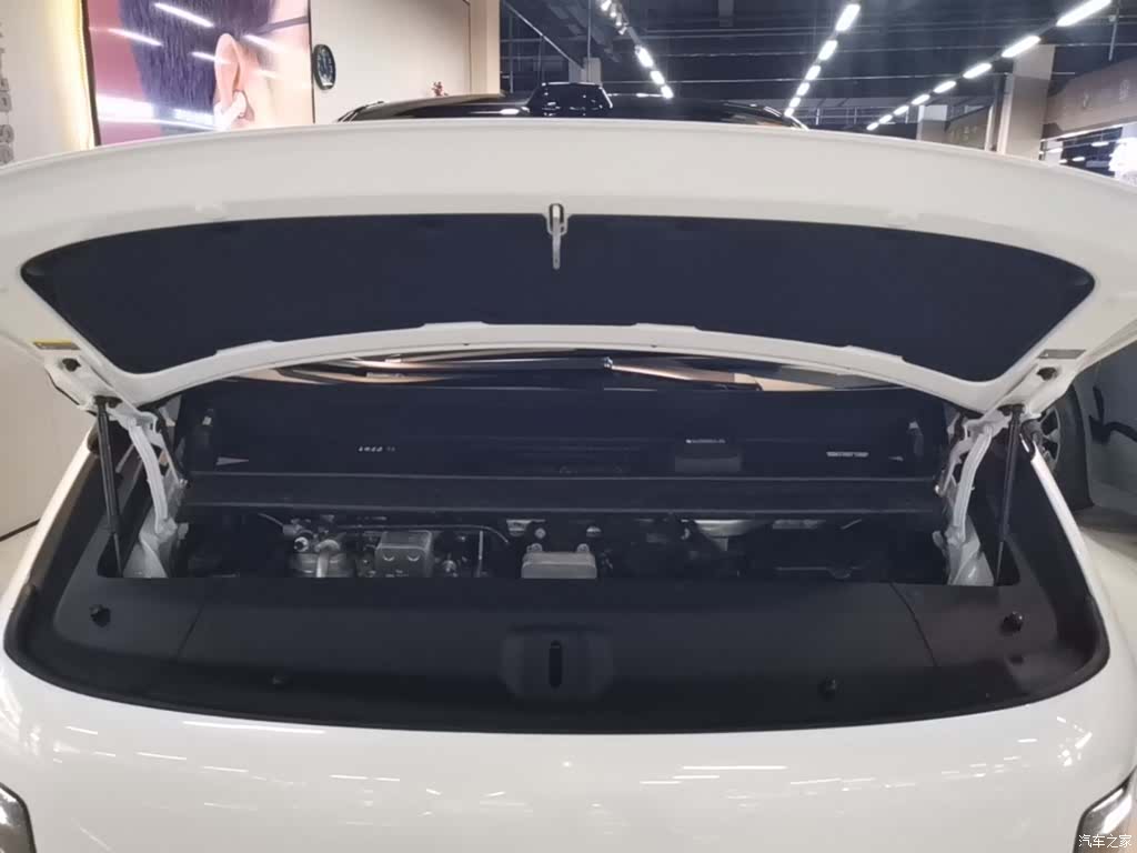 Li Auto MEGA, 2025 20