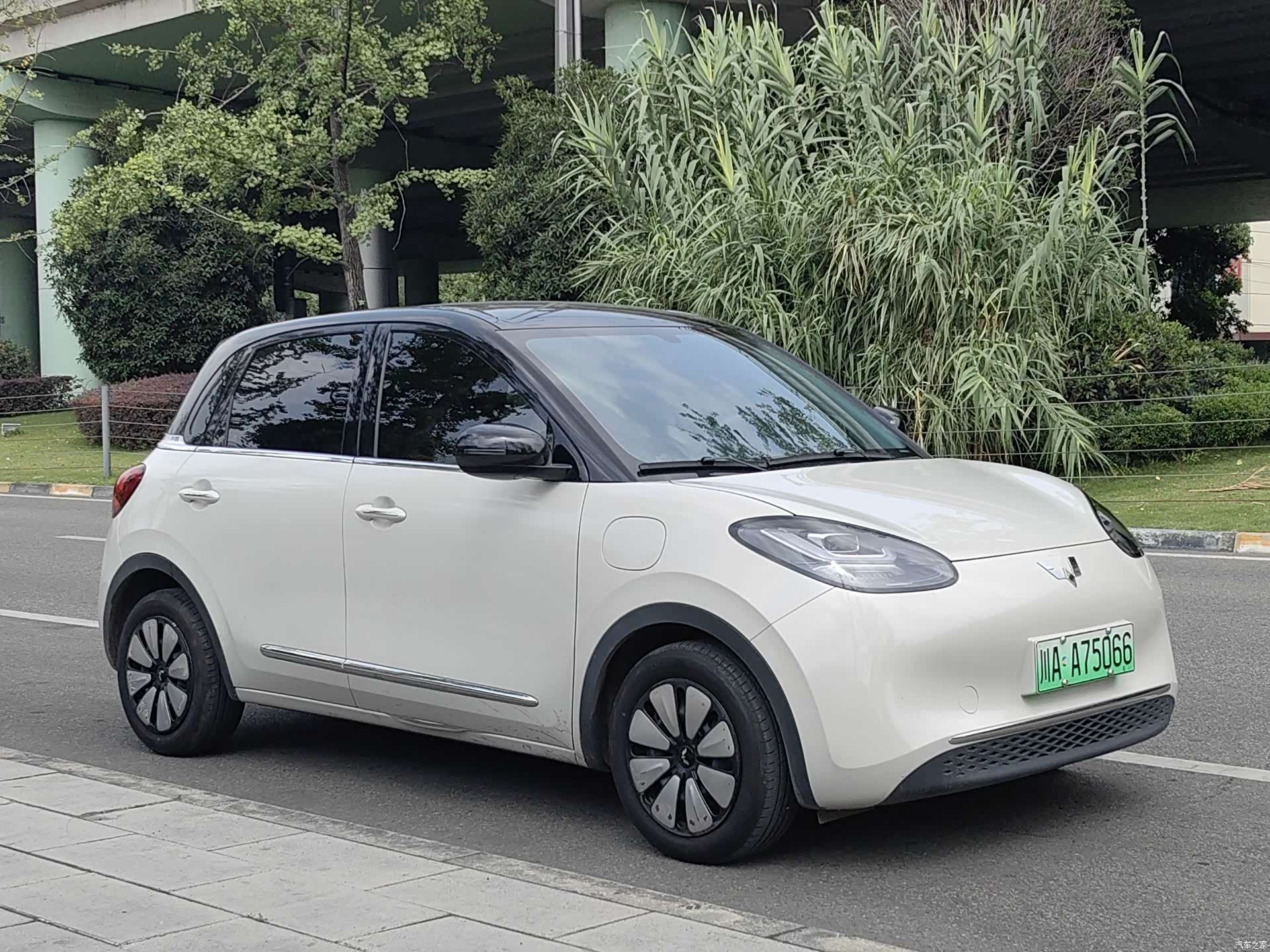 Wuling Bingo, 2024 3
