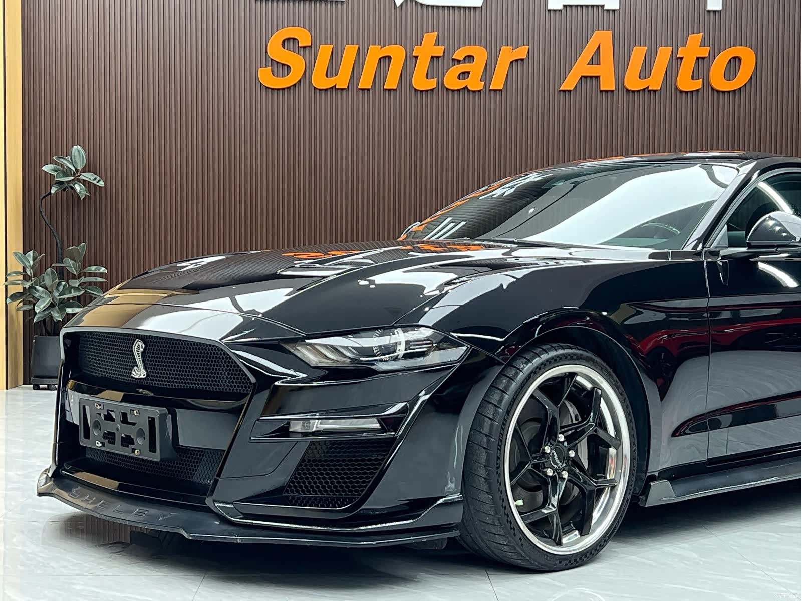 Ford Mustang, 2021 10