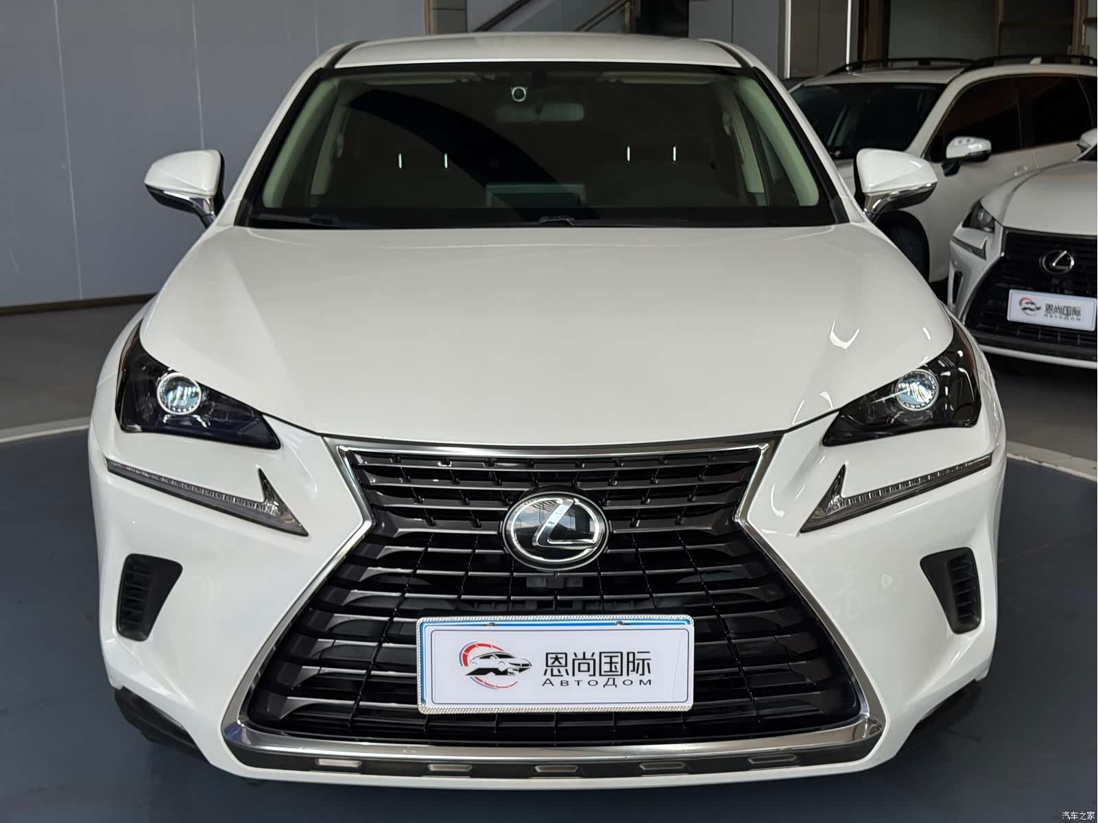 Lexus NX, 2021 2