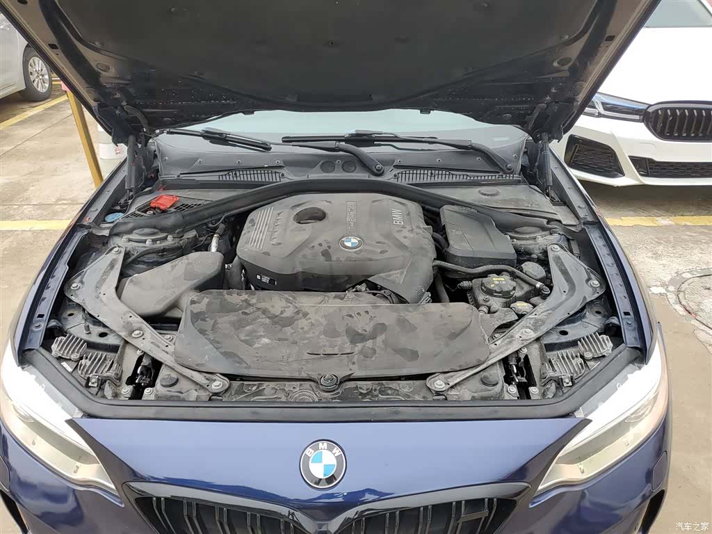 BMW 2 Series, 2017 16