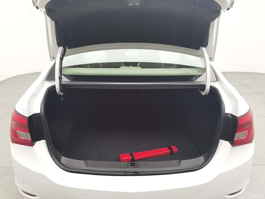 Buick 15N, 2017 16