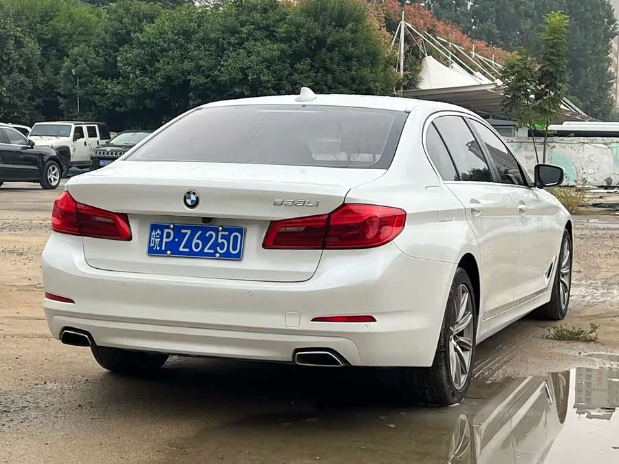 BMW 5 Series 2018, фото 8