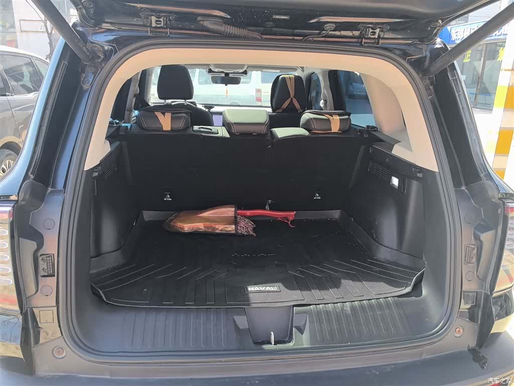 Haval Big Dog, 2024 19