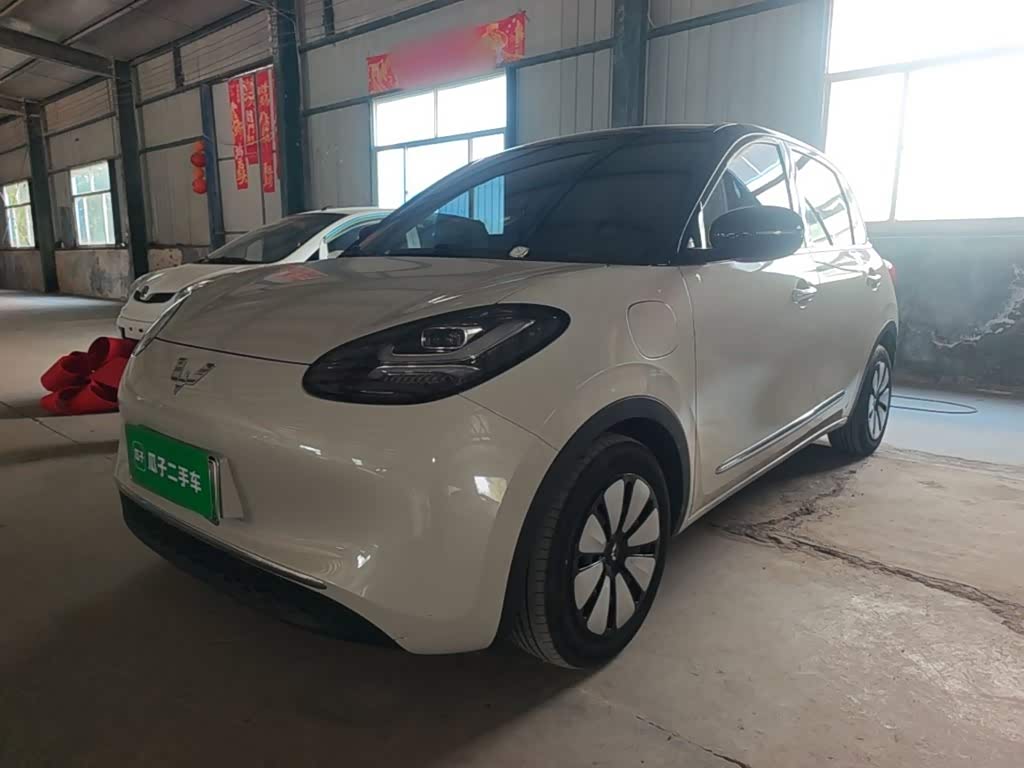 Wuling Binguo 2024 333km Enjoy