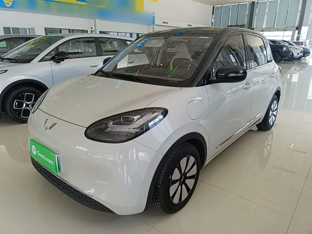 Wuling Binguo