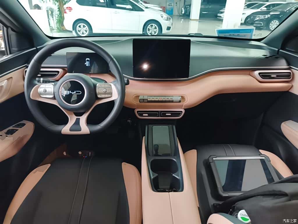 BYD Seagull, 2024 10