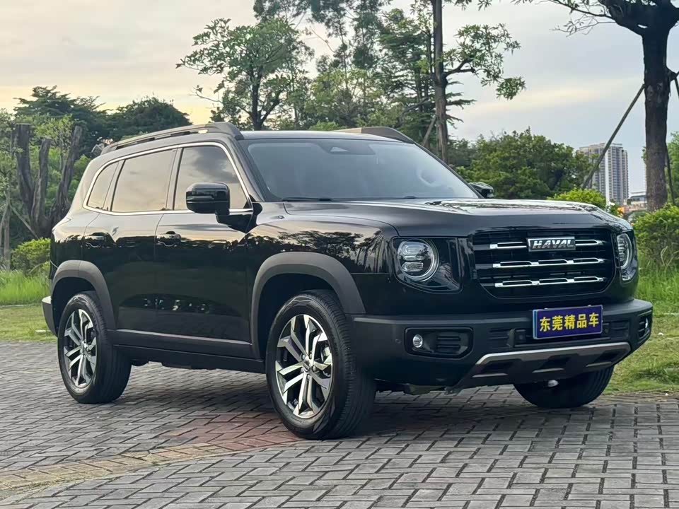 Haval Big dog