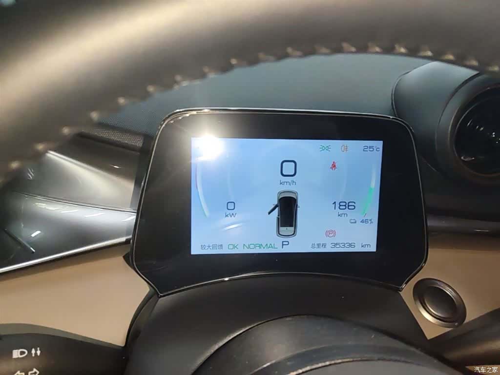 BYD Dolphin, 2024 12