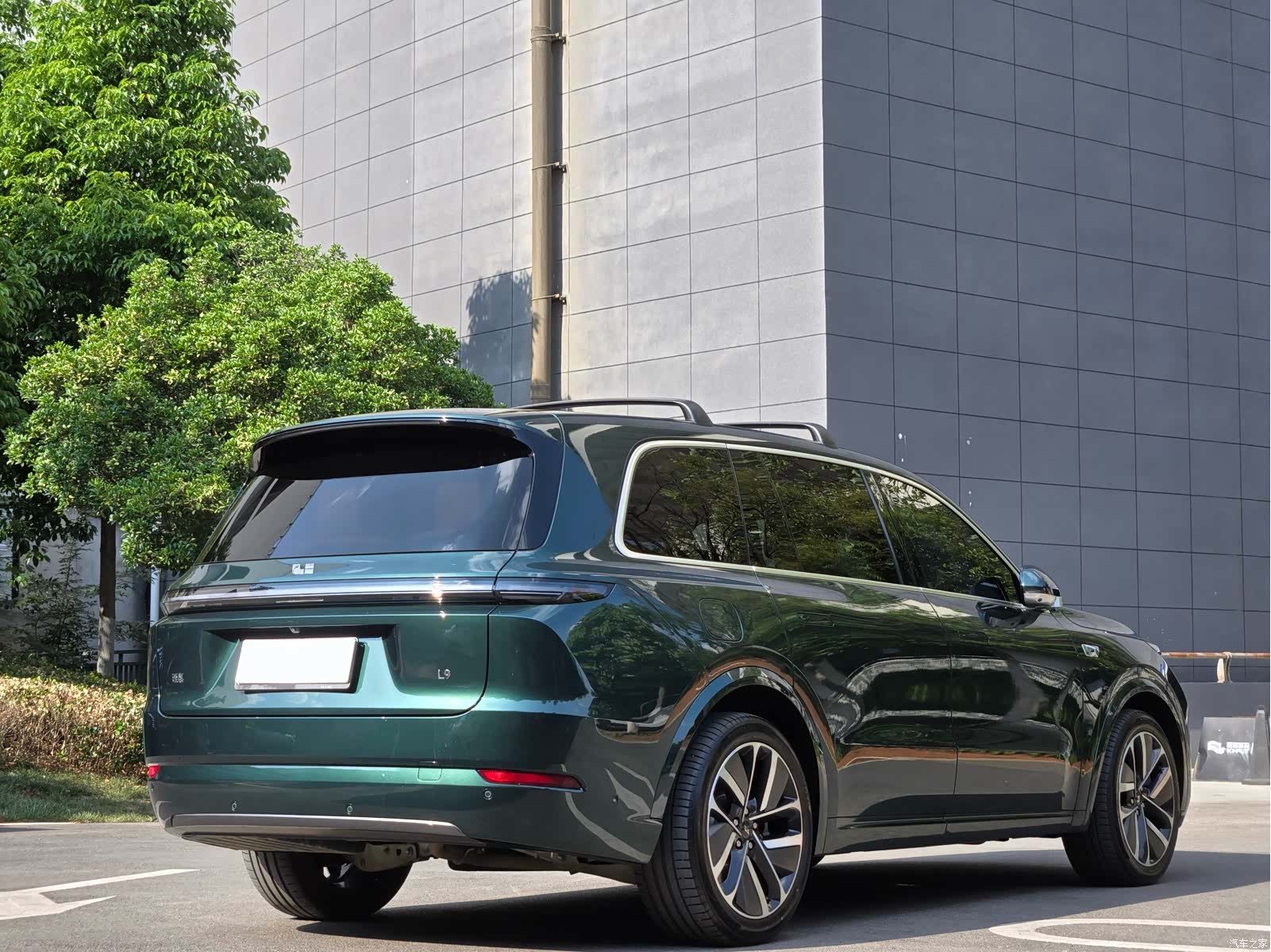 Li Auto L9, 2023 все фото