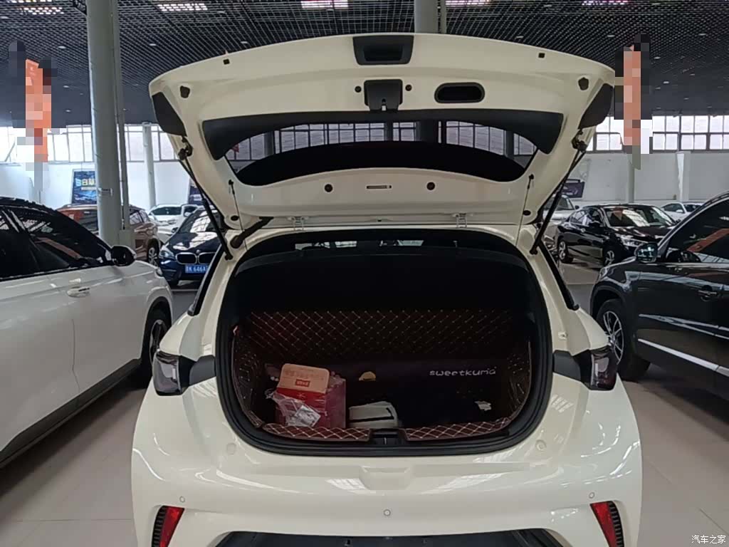 BYD Dolphin, 2023 15