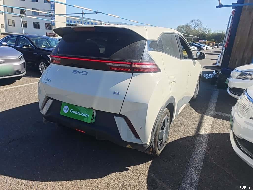 BYD Seagull, 2024 7