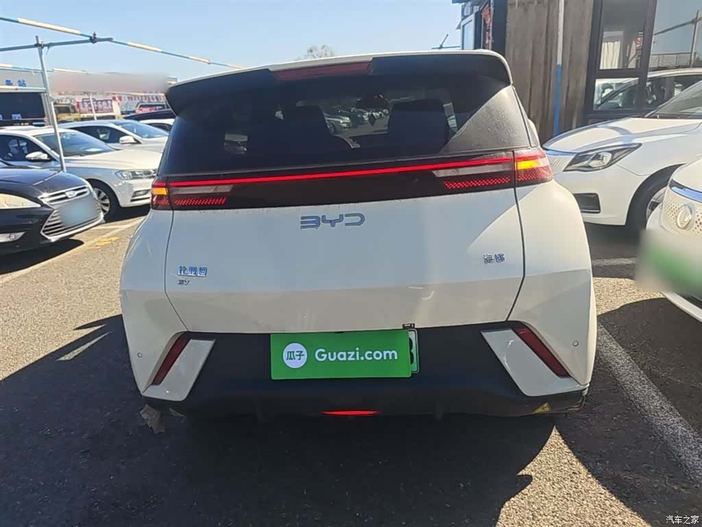 BYD Seagull, 2024 6