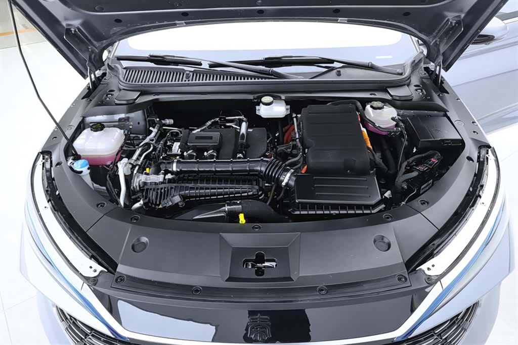 BYD Qin, 2024 10