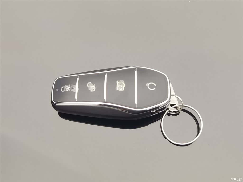 BYD Tang, 2025 19