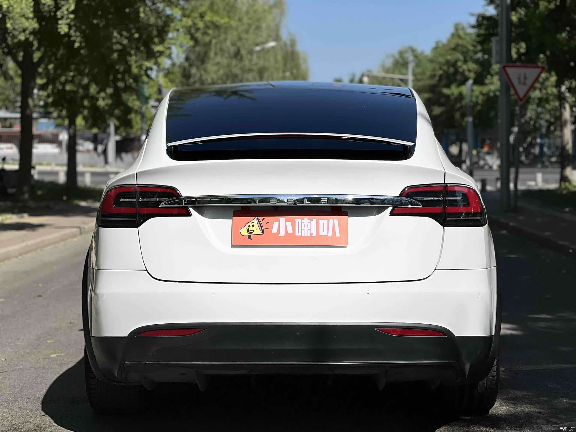 Tesla Model X, 2017 все фото