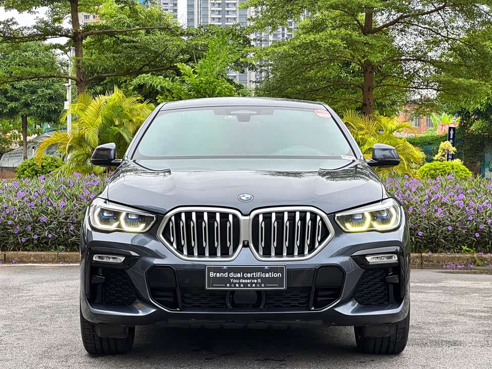 BMW X6