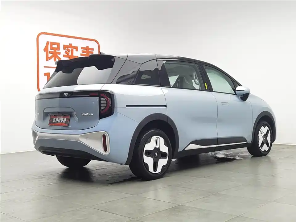 ARCFOX Polar fox koala