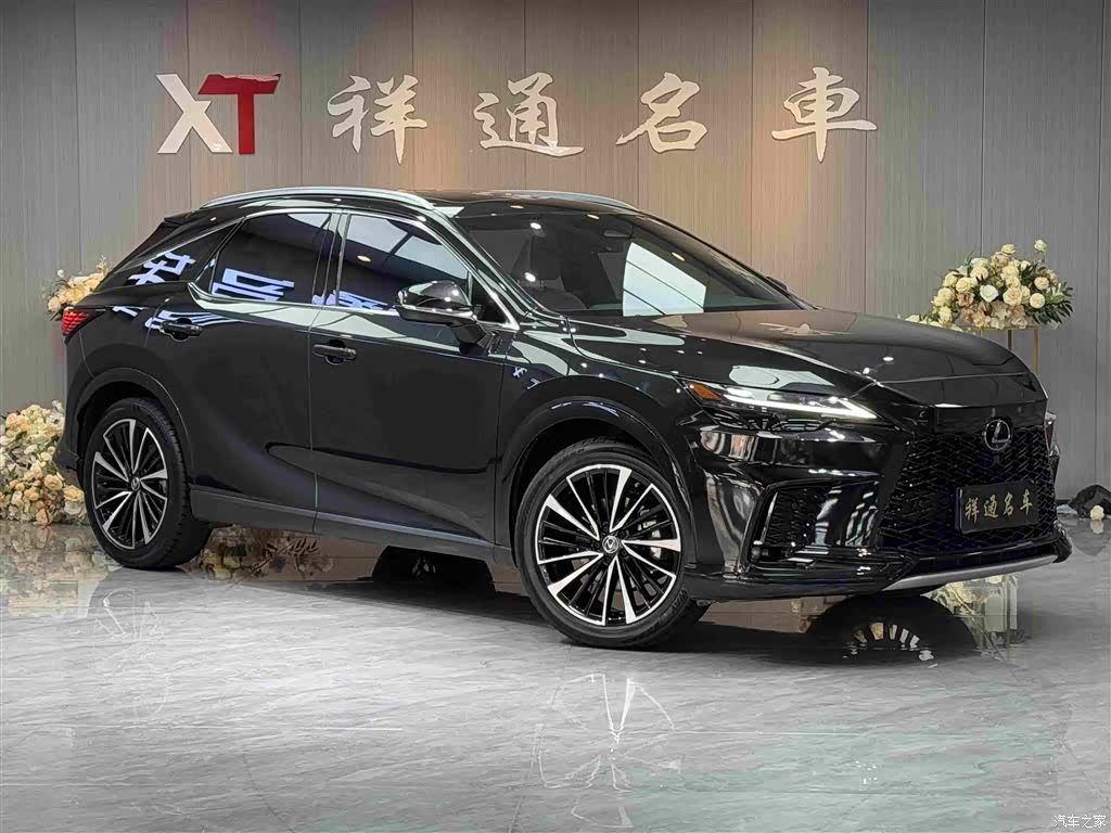 Lexus RX, 2023 3