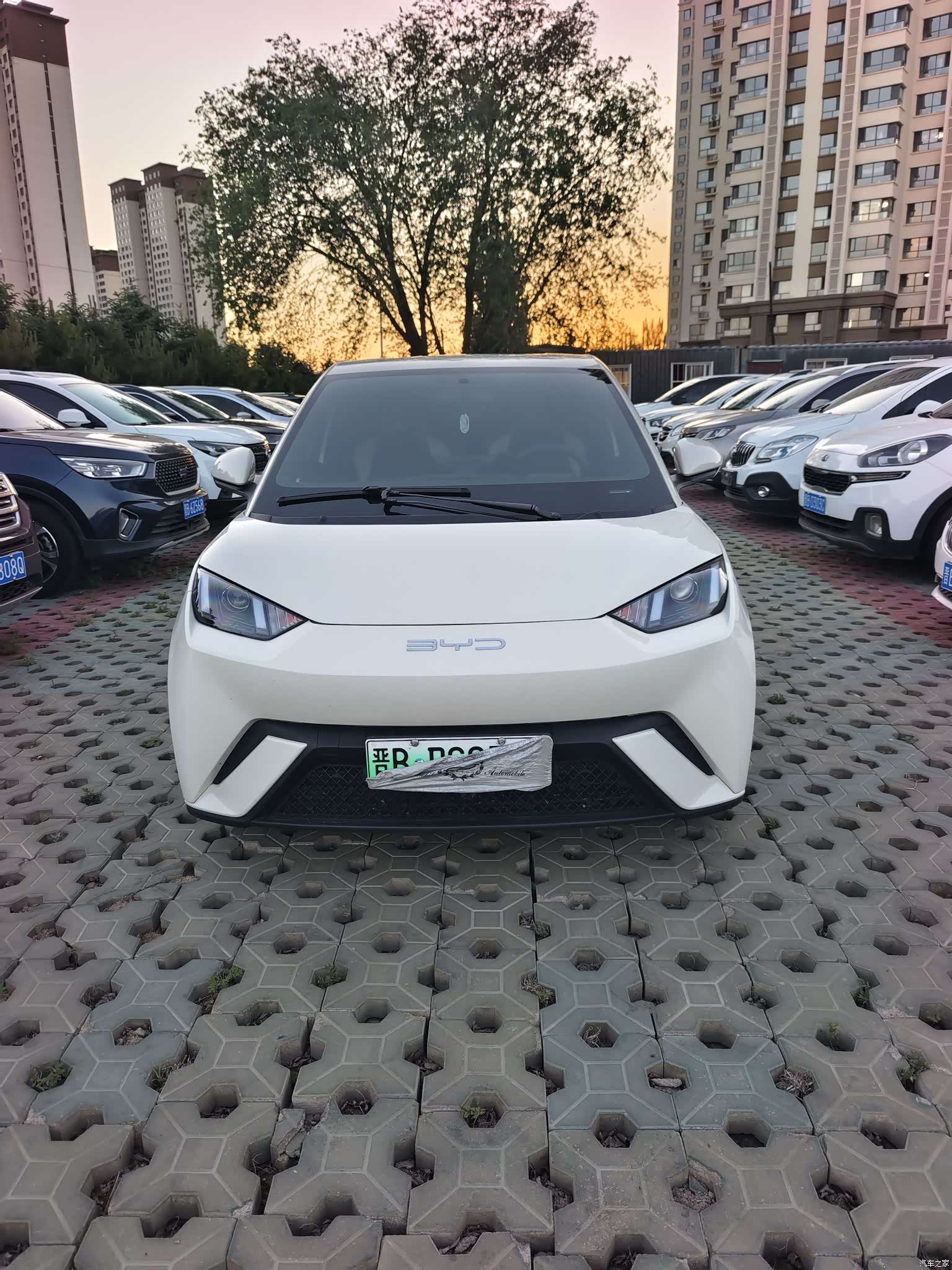 BYD Seagull, 2023 2