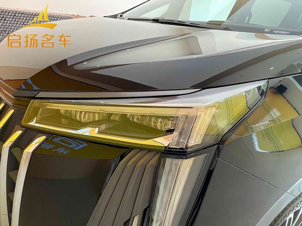 Trumpchi Trumpchi M8