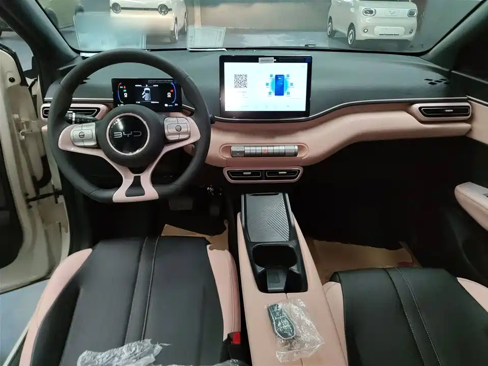 BYD Seagull