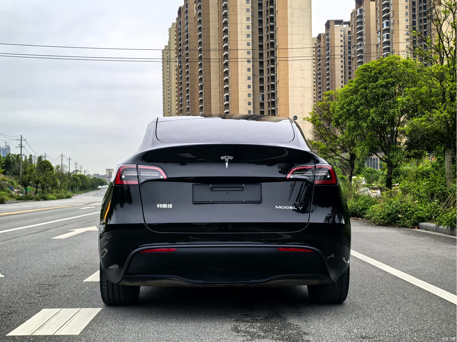 Tesla Model Y, 2023 все фото