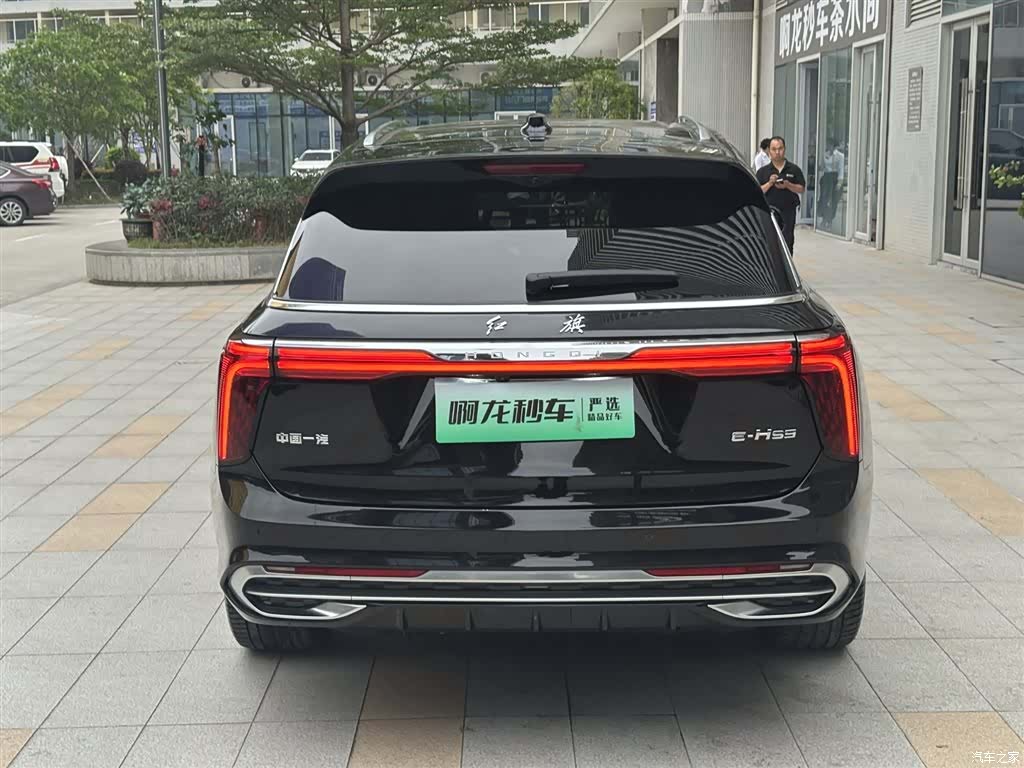 Hongqi E-HS9, 2023 9