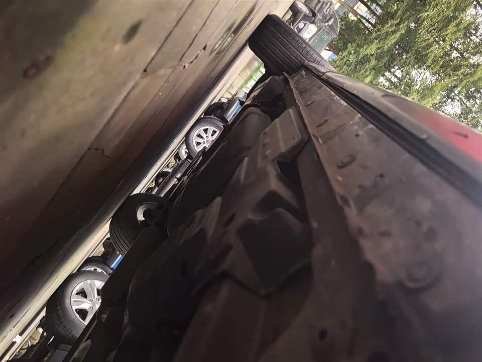 Leopaard Cheetah CS10