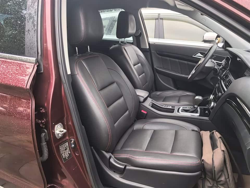 Leopaard Cheetah CS10