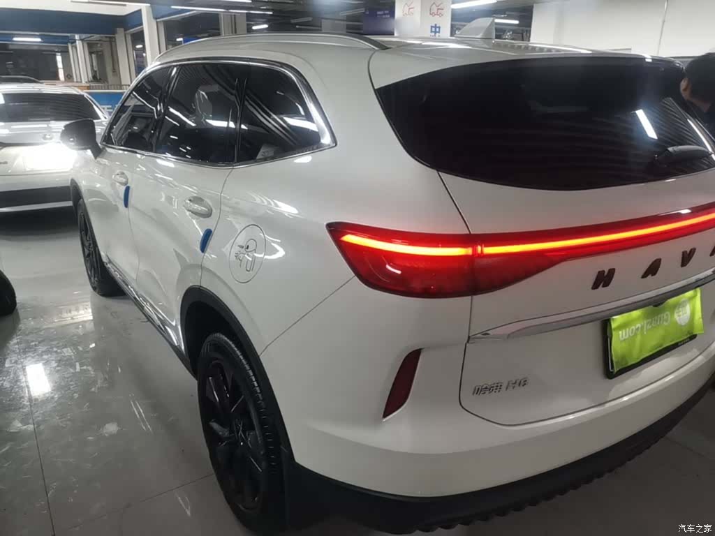 Haval H6, 2023 все фото
