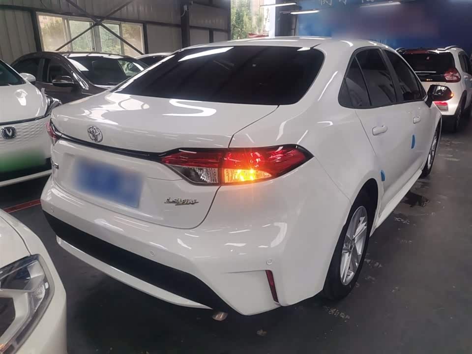Toyota Lei Ling