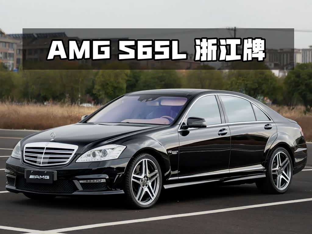 Mercedes-Benz S-Class A MG S AMG 2010 AMG S 65