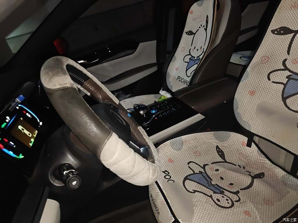 BYD Qin, 2024 8