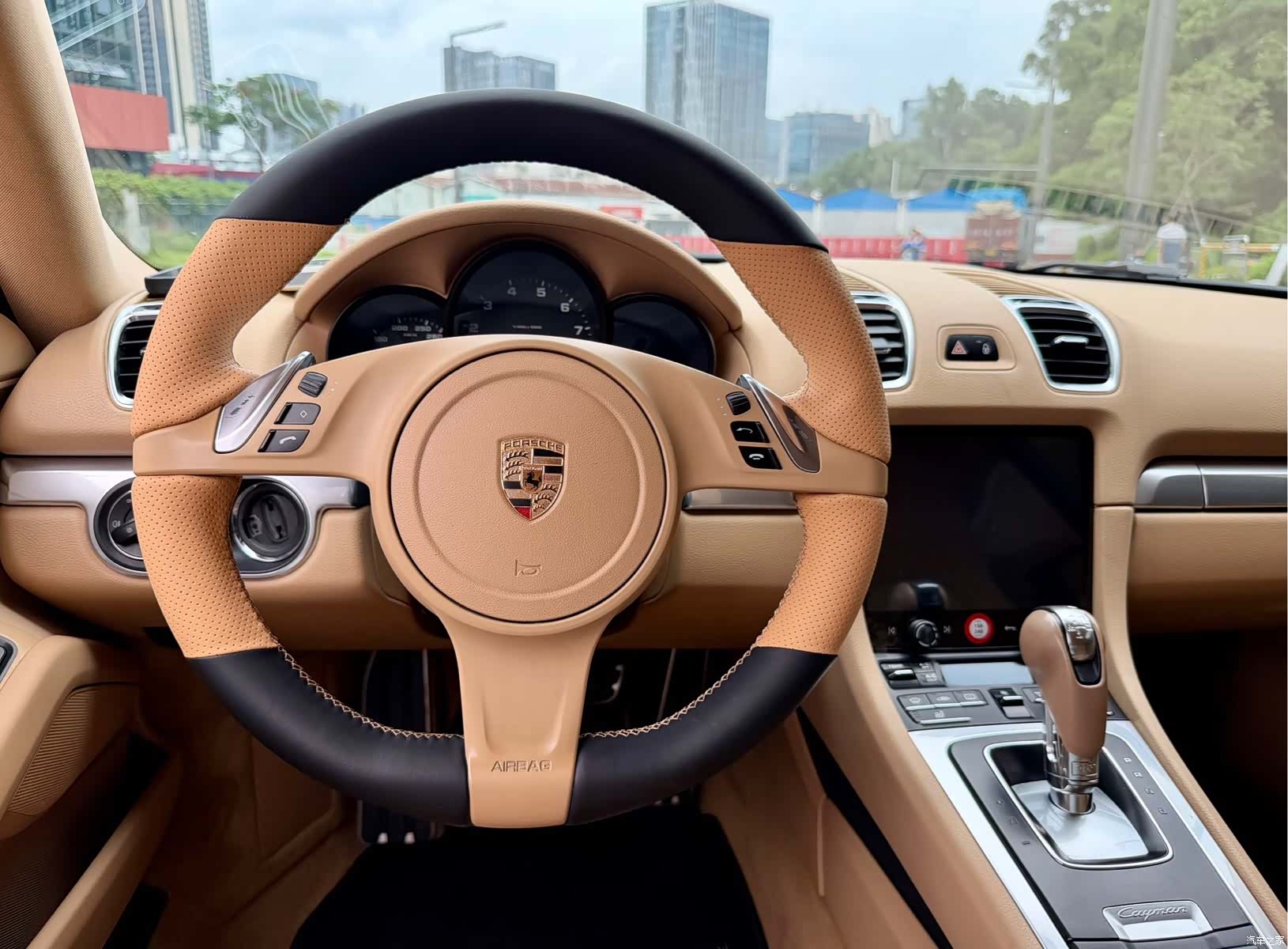 Porsche Cayman, 2013 21
