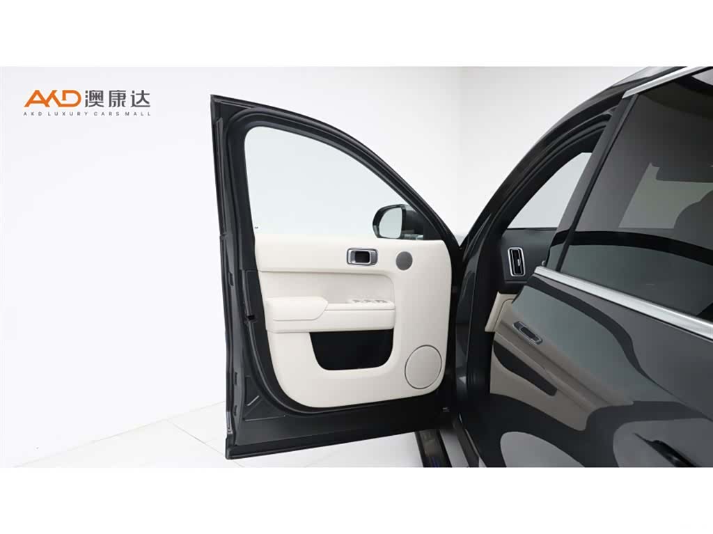 Li Auto L9, 2023 11
