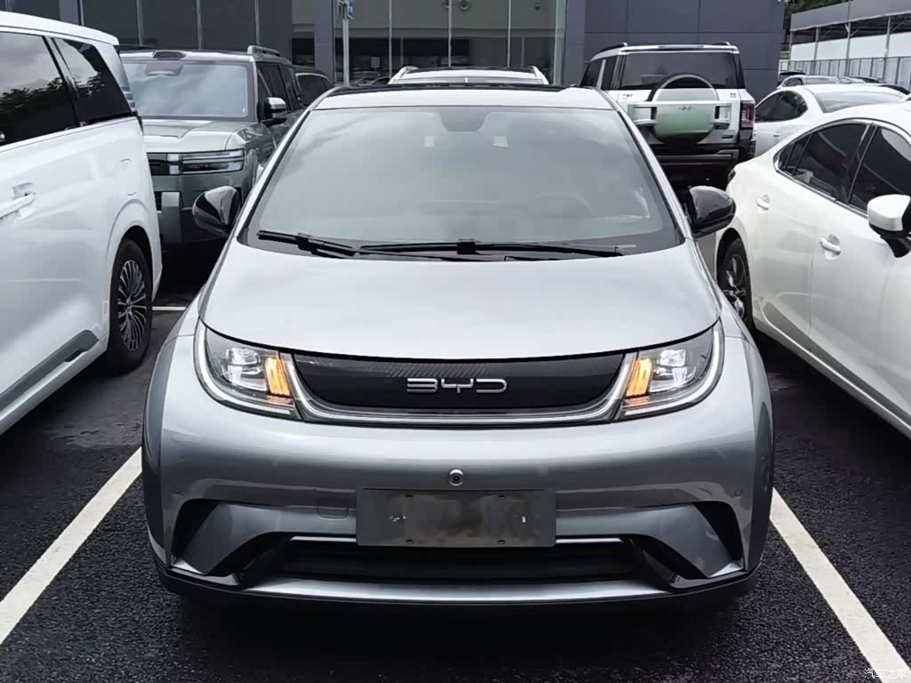 BYD Dolphin, 2023 3