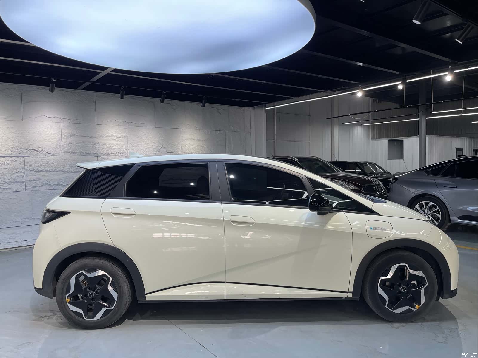 BYD Dolphin, 2023 4