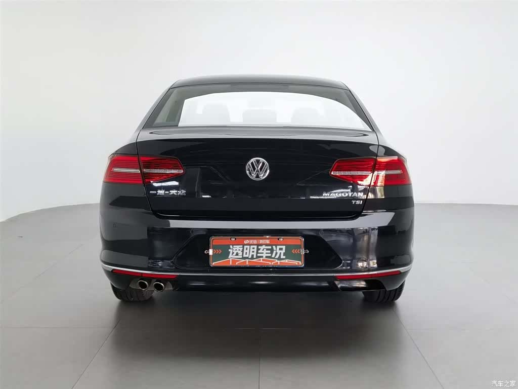 Volkswagen Magotan, 2019 4
