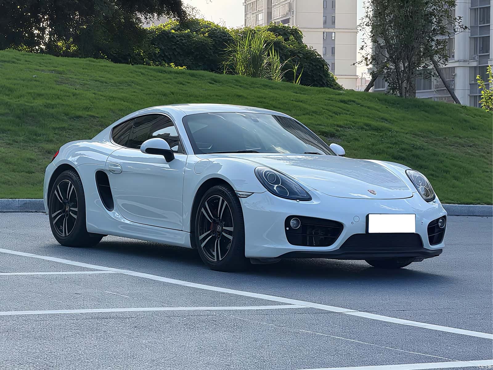 Porsche Cayman, 2015 6